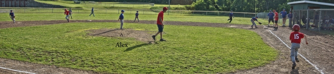 alex baseball standing